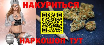 сатива Будённовск