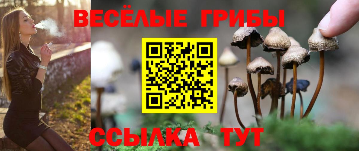 Карабулак  Галлюциногенные грибы Cubensis  Вход с VPN  Галлюциногенные грибы мицелий 