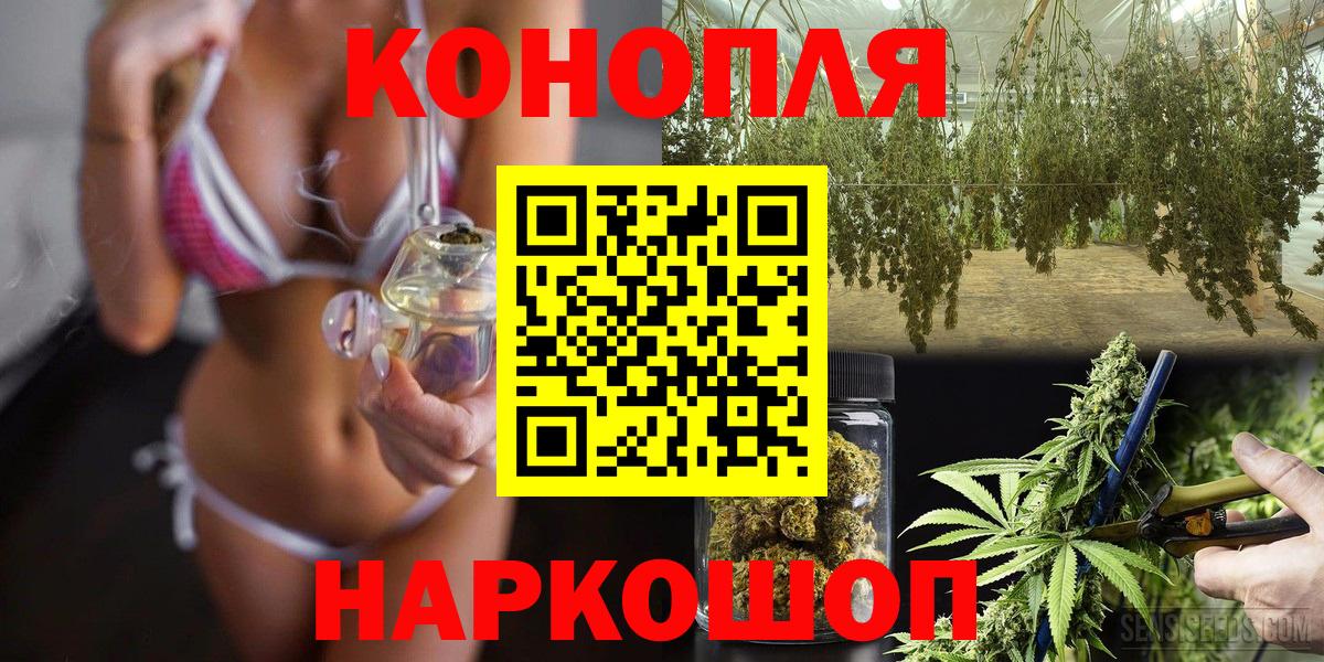 МАРИХУАНА сатива Карабулак